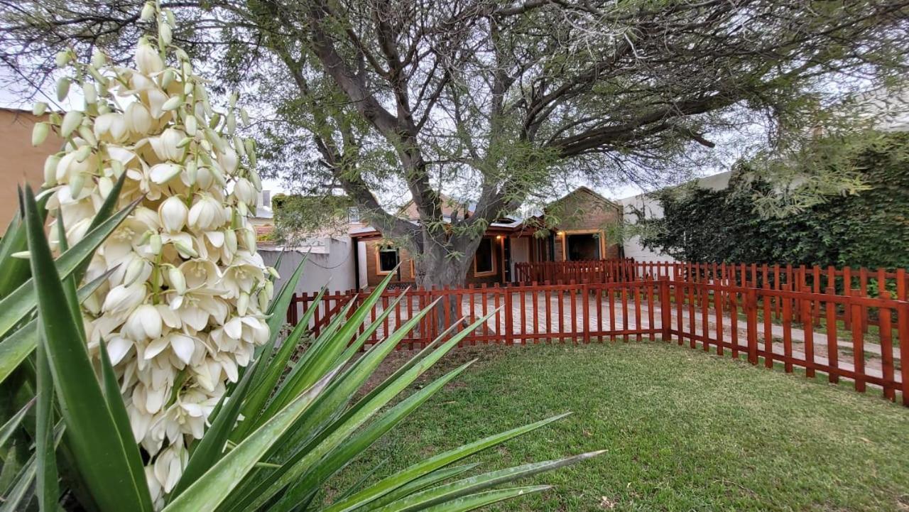 El Patio Del Aromo Apartment Puerto Madryn Luaran gambar