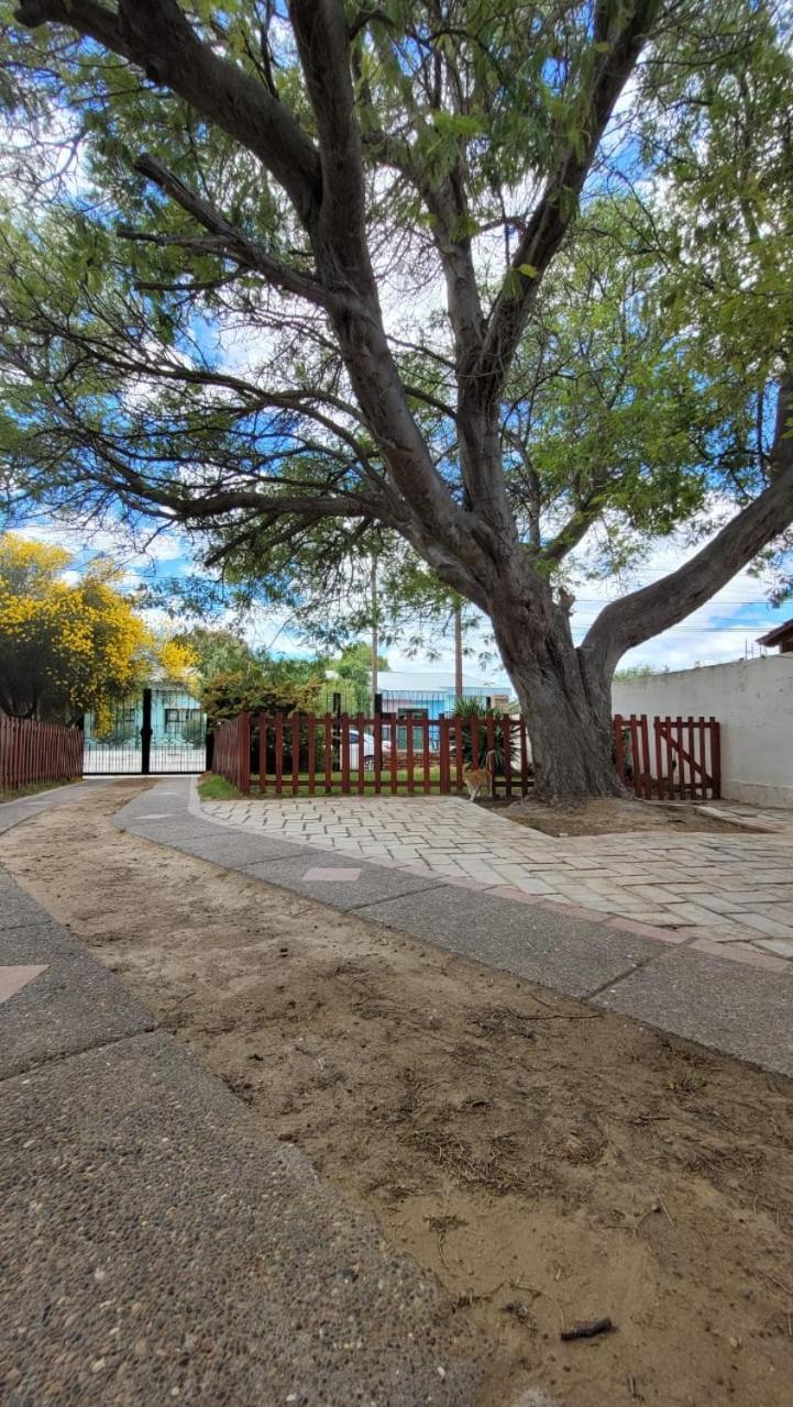 El Patio Del Aromo Apartment Puerto Madryn Luaran gambar